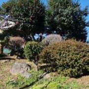 ヒメ日記 2025/03/11 00:46 投稿 花咲ななみ ZERO-i