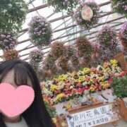 ヒメ日記 2025/03/12 15:38 投稿 花咲ななみ ZERO-i