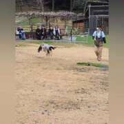 ヒメ日記 2025/03/12 23:16 投稿 花咲ななみ ZERO-i