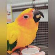 ヒメ日記 2025/03/13 10:06 投稿 花咲ななみ ZERO-i