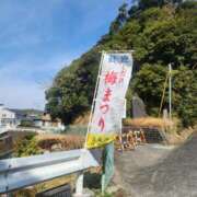 ヒメ日記 2025/03/14 00:36 投稿 花咲ななみ ZERO-i