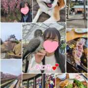 ヒメ日記 2025/03/15 09:06 投稿 花咲ななみ ZERO-i