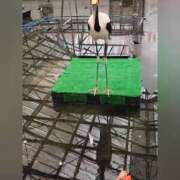 ヒメ日記 2025/03/16 08:16 投稿 花咲ななみ ZERO-i