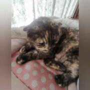 ヒメ日記 2025/03/16 09:36 投稿 花咲ななみ ZERO-i