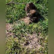 ヒメ日記 2025/03/19 11:26 投稿 花咲ななみ ZERO-i