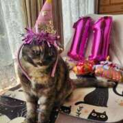 ヒメ日記 2025/03/29 00:16 投稿 花咲ななみ ZERO-i