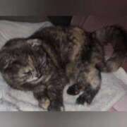 ヒメ日記 2025/03/30 01:06 投稿 花咲ななみ ZERO-i