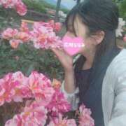 ヒメ日記 2025/04/01 17:06 投稿 花咲ななみ ZERO-i