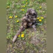 ヒメ日記 2025/04/02 13:16 投稿 花咲ななみ ZERO-i