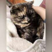 ヒメ日記 2025/04/03 01:06 投稿 花咲ななみ ZERO-i