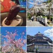 ヒメ日記 2025/04/03 18:46 投稿 花咲ななみ ZERO-i