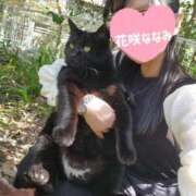 ヒメ日記 2025/04/04 10:46 投稿 花咲ななみ ZERO-i