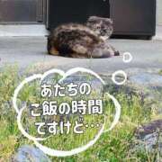 ヒメ日記 2025/04/05 08:46 投稿 花咲ななみ ZERO-i