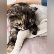 ヒメ日記 2025/04/07 11:56 投稿 花咲ななみ ZERO-i