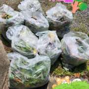 ヒメ日記 2025/04/09 13:26 投稿 花咲ななみ ZERO-i