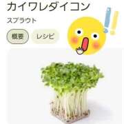 ヒメ日記 2025/04/10 00:06 投稿 花咲ななみ ZERO-i