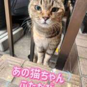 ヒメ日記 2025/04/11 12:26 投稿 花咲ななみ ZERO-i