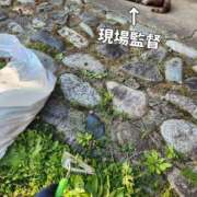 ヒメ日記 2025/04/12 07:36 投稿 花咲ななみ ZERO-i