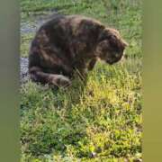 ヒメ日記 2025/04/12 08:56 投稿 花咲ななみ ZERO-i