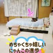 ヒメ日記 2025/04/16 00:26 投稿 花咲ななみ ZERO-i