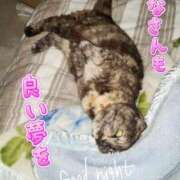 ヒメ日記 2025/04/16 00:56 投稿 花咲ななみ ZERO-i