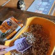 ヒメ日記 2025/04/17 08:16 投稿 花咲ななみ ZERO-i