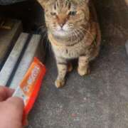 ヒメ日記 2025/04/17 10:26 投稿 花咲ななみ ZERO-i