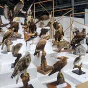 ヒメ日記 2025/04/18 07:56 投稿 花咲ななみ ZERO-i