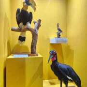 ヒメ日記 2025/04/18 08:16 投稿 花咲ななみ ZERO-i