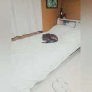 ヒメ日記 2025/04/21 00:45 投稿 花咲ななみ ZERO-i