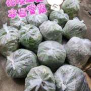 ヒメ日記 2025/04/22 13:56 投稿 花咲ななみ ZERO-i