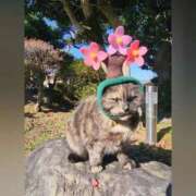 ヒメ日記 2025/04/23 12:59 投稿 花咲ななみ ZERO-i