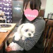 ヒメ日記 2025/04/23 18:26 投稿 花咲ななみ ZERO-i