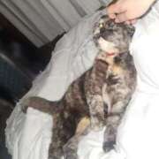 ヒメ日記 2025/04/24 02:06 投稿 花咲ななみ ZERO-i