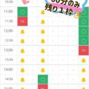 ヒメ日記 2025/04/27 08:33 投稿 花咲ななみ ZERO-i