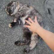 ヒメ日記 2025/04/29 00:46 投稿 花咲ななみ ZERO-i