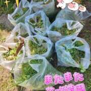 ヒメ日記 2025/05/01 07:26 投稿 花咲ななみ ZERO-i