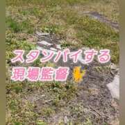 ヒメ日記 2025/05/01 07:56 投稿 花咲ななみ ZERO-i