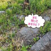 ヒメ日記 2025/05/03 00:23 投稿 花咲ななみ ZERO-i