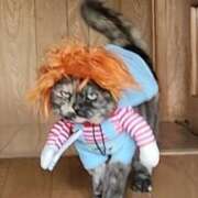 ヒメ日記 2025/05/03 00:56 投稿 花咲ななみ ZERO-i