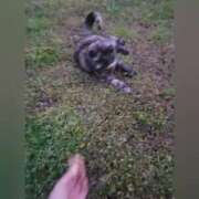 ヒメ日記 2025/05/04 00:26 投稿 花咲ななみ ZERO-i