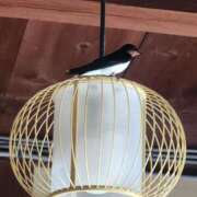 ヒメ日記 2025/05/08 13:09 投稿 花咲ななみ ZERO-i