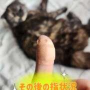 ヒメ日記 2025/05/11 01:16 投稿 花咲ななみ ZERO-i