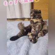 ヒメ日記 2025/05/13 02:36 投稿 花咲ななみ ZERO-i