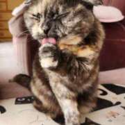 ヒメ日記 2025/05/14 12:26 投稿 花咲ななみ ZERO-i