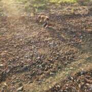 ヒメ日記 2025/05/15 01:06 投稿 花咲ななみ ZERO-i