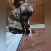 ヒメ日記 2025/05/15 11:26 投稿 花咲ななみ ZERO-i