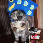 ヒメ日記 2025/05/17 07:06 投稿 花咲ななみ ZERO-i