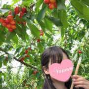 ヒメ日記 2025/05/18 00:56 投稿 花咲ななみ ZERO-i