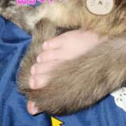 ヒメ日記 2025/05/19 01:56 投稿 花咲ななみ ZERO-i